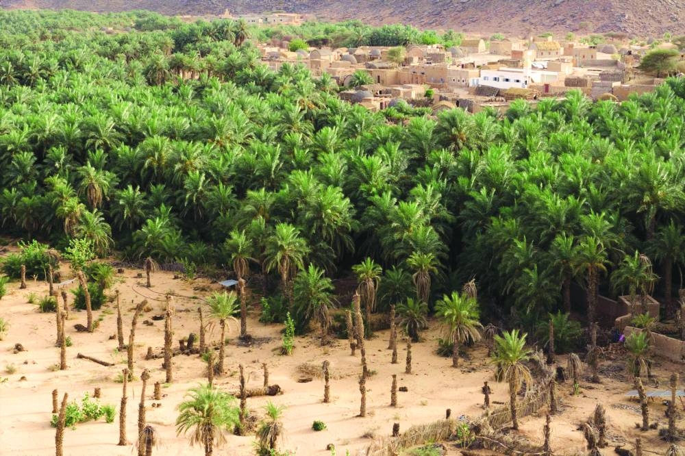 An aerial view of the date palms of M’heiret, a village located in the Adrar region in Mauritania. 