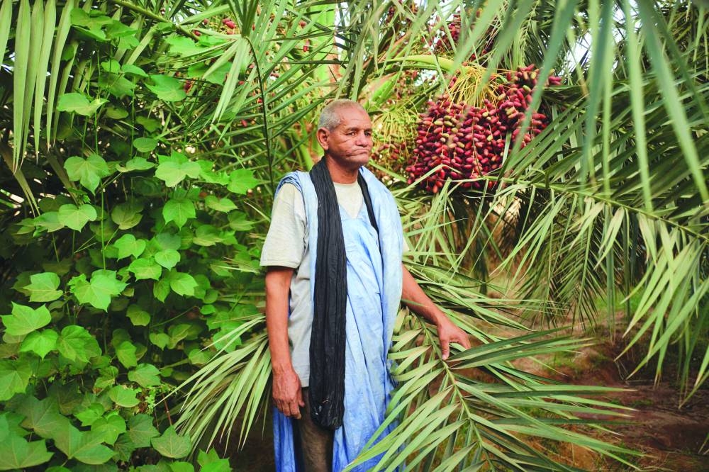 Farmer Mohamed Mahmoud Ould Brihm poses for a portrait in front of his date palm in the oasis of M’heiret, a village located in the Adrar region in Mauritania. 