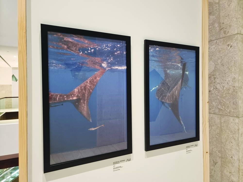 Azzam al-Mannai unveils the hidden beauty of the environment with his work. PICTURES: Joey Aguilar