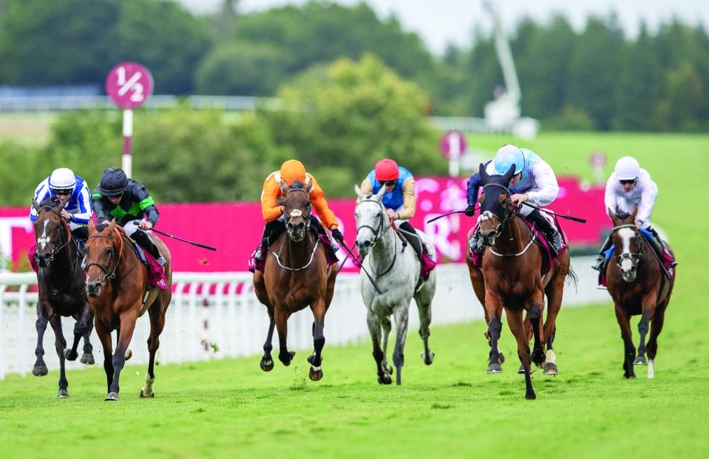 Jockey Billy Lee rides Term Of Endearment to Qatar Lillie Langtry stakes win. 