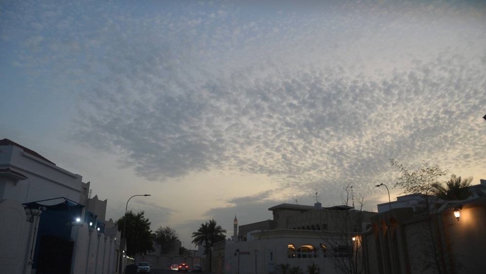 PICTURE: Shaji Kayamkulam