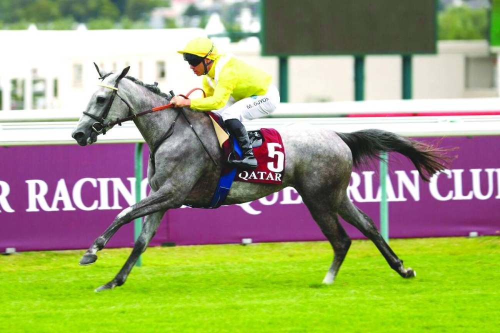 Maxime Guyon guided the three-year-old, Bianca de Ghazal to Al Rayyan Cup victory.
 