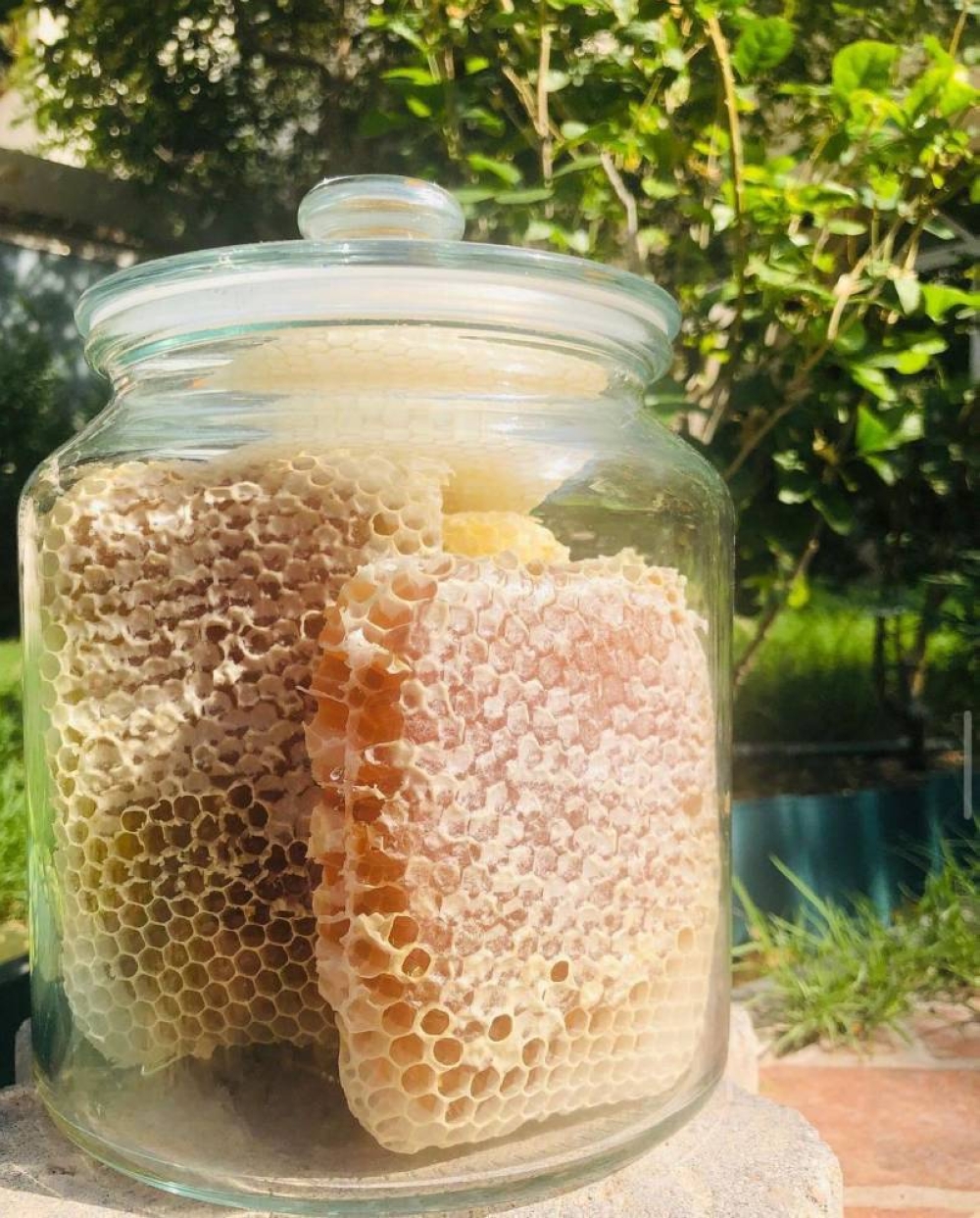  Honey comb in jar