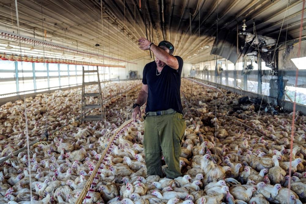 A member of a rapid response team responds to damage at a chicken coup, after Hezbollah launched hundreds of rockets and drones towards Israel, in northern Israel on Sunday. REUTERS