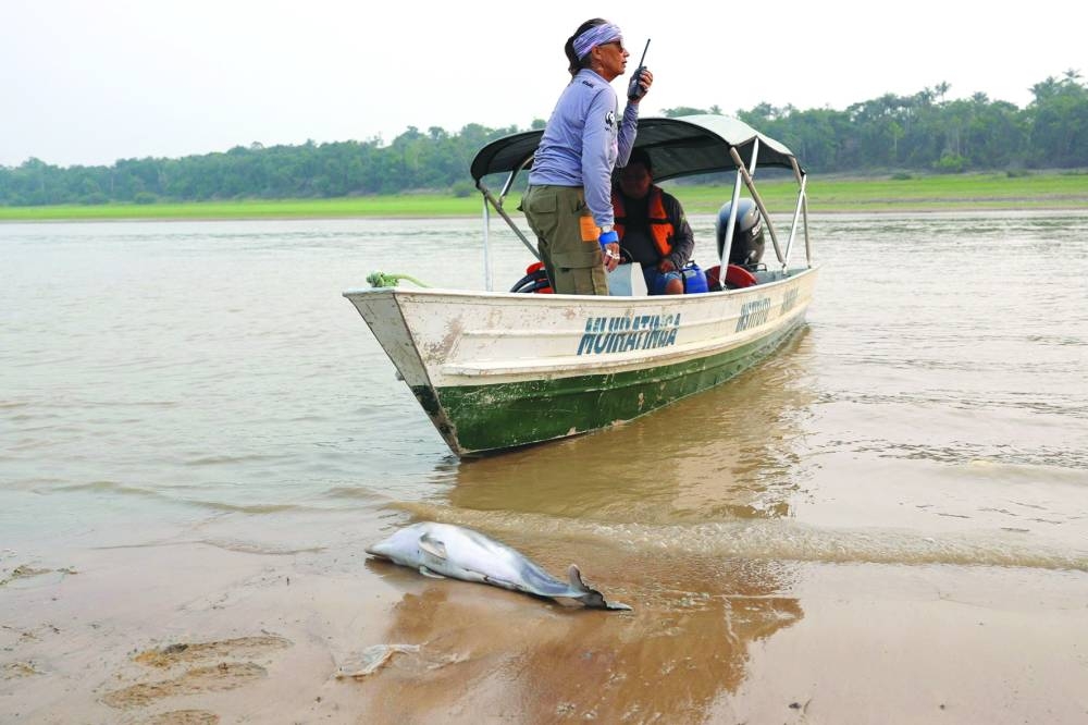 Researcher Miriam Marmontel talks on the radio after she found a dead dolphin on Lake Tefe. – Reuters