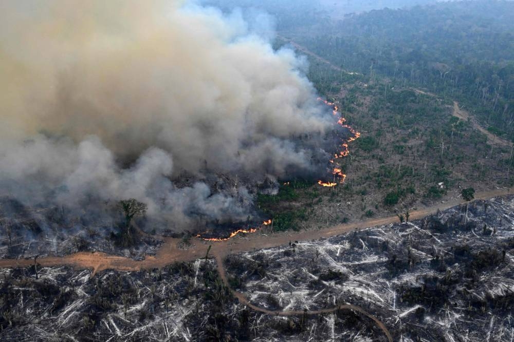 Aerial view of an area of Amazon rainforest deforested by illegal fire in the municipality of Labrea, Amazonas State, Brazil, taken on August 20, 2024. AFP