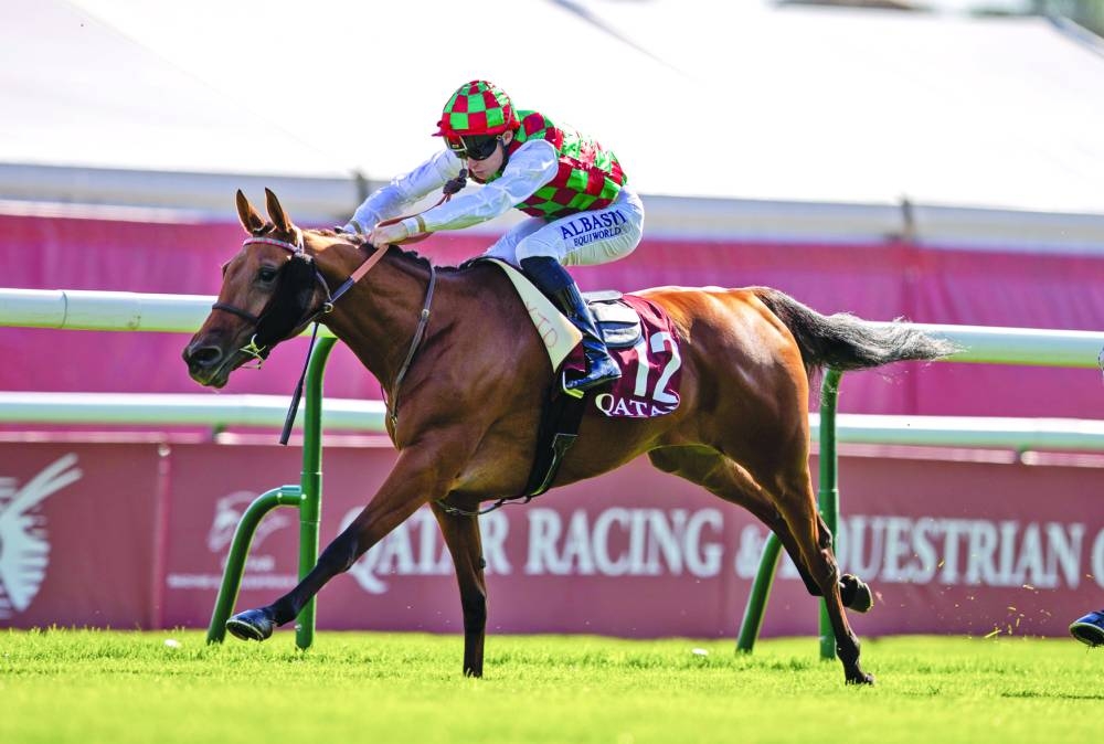 
Alexis Pouchain rides Are’ej  to victory in the Qatar Arabian Trophy Des Juments. 