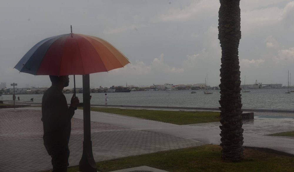 ​​​​​​​PICTURE: Shaji Kayamkulam