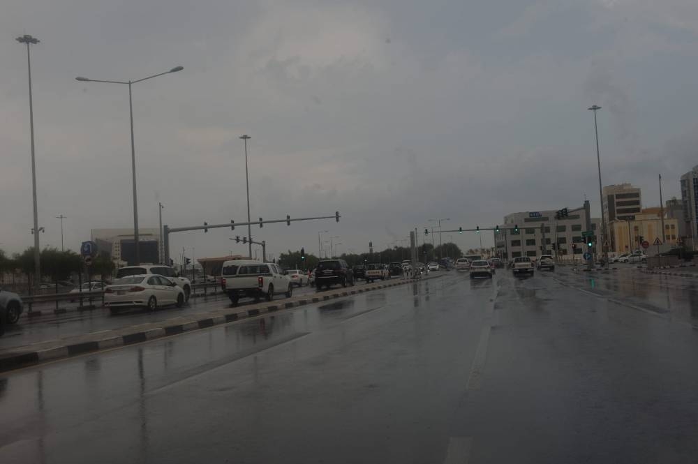 ​​​​​​​PICTURE: Shaji Kayamkulam