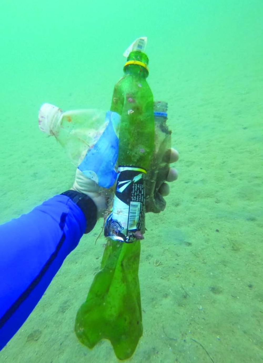 A diver collects plastic bottles from Qatar’s waters.