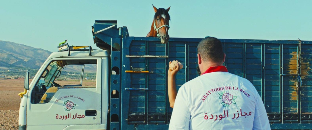 Why Did You Leave The Horse Alone