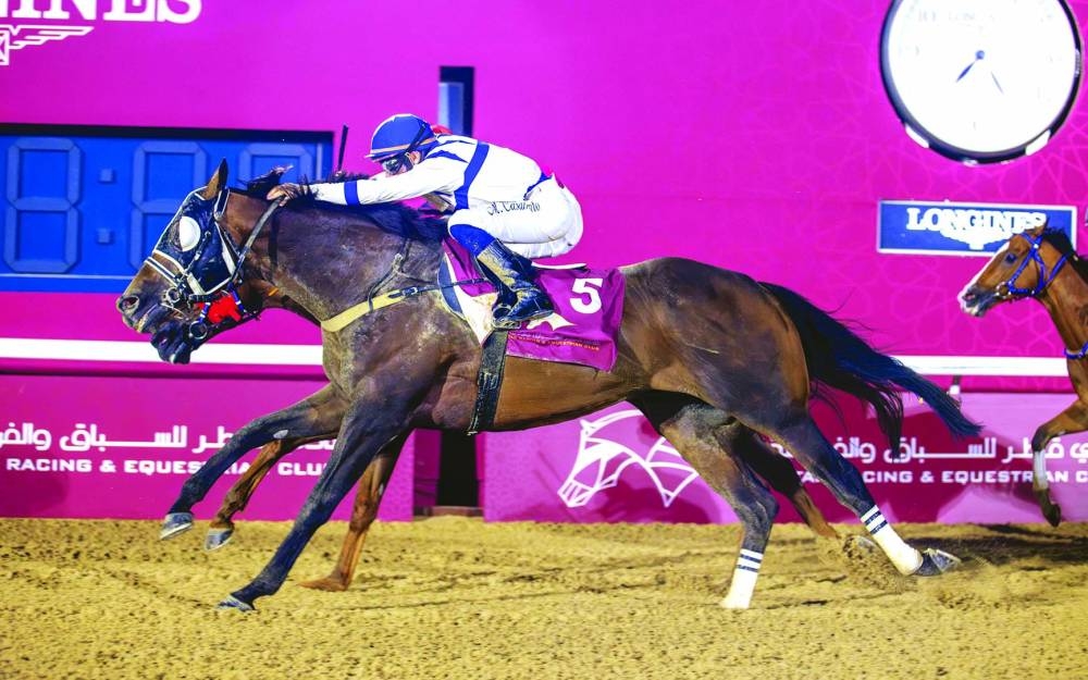 
Marco Casamento guided Return To Senders to the Rowdat Rashid Cup win yesterday. 