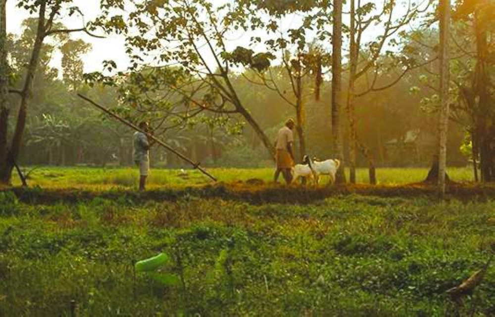 A scene from Alkaline by Paul Abraham and Abdulla al-Hor