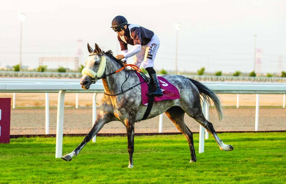 
Jockey Soufiane Saadi guided Medan to Umm Bab Cup victory yesterday. 