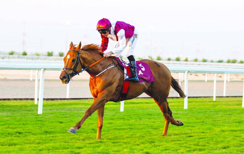 
Jockey Tomas Lukasek guided Legend Of Xanadu to Thoroughbred Handicap (65-85) victory during the Umm Bab Cup Race Meeting Division 2 at Al Uqda Racecourse yesterday. PICTURES: Juhaim 