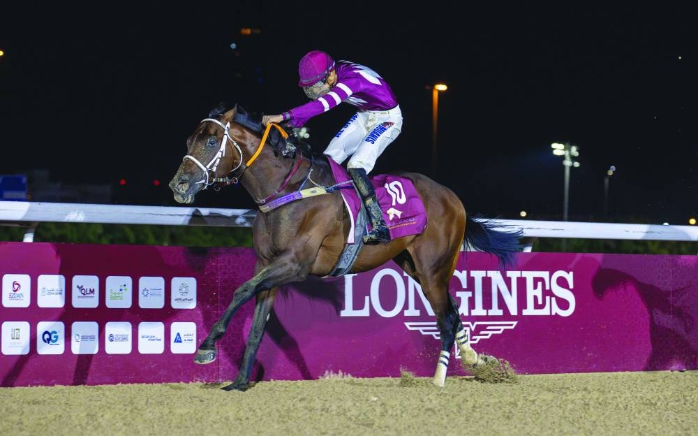 
Jockey Muanis al-Siyabi guided Estoori to the Bu Samrah Cup win yesterday. 