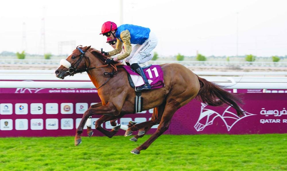 
Jockey James Doyle guided Supercooled to Thoroughbred Derby Trial win. 