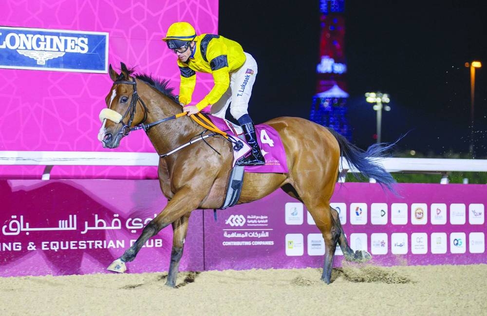 Jockey Tomas Lukasek guided Jungle Mate to victory on Friday.