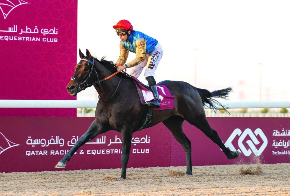 Jockey Soufiane Saadi guided Wafei  to victory. PICTURE: Juhaim