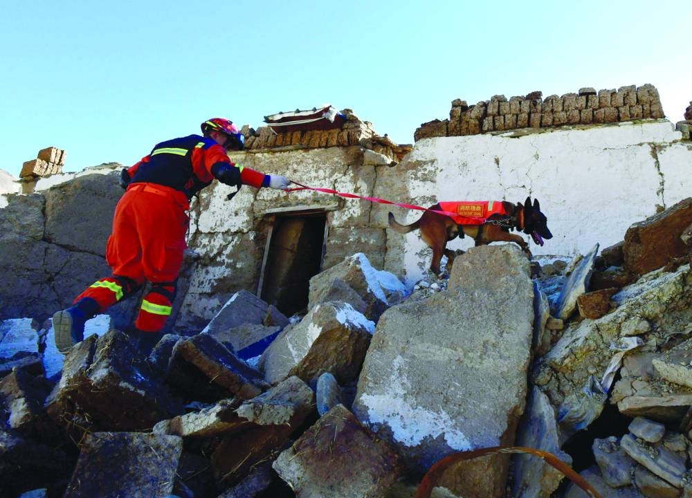 
A firefighter conducts search and rescue operation with a rescue dog at a village following the earthquake that struck Tingri county, in Shigatse. 