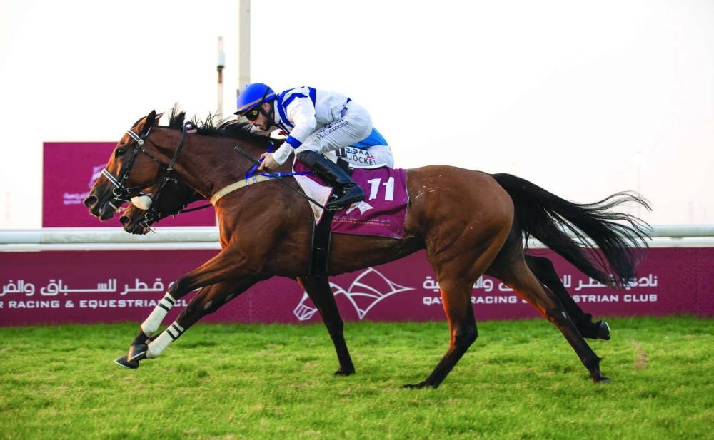 Jockey Marco Casamento guided Gold Fleece to Khor Al Adaid Cup victory on Thursday. PICTURE: Juhaim