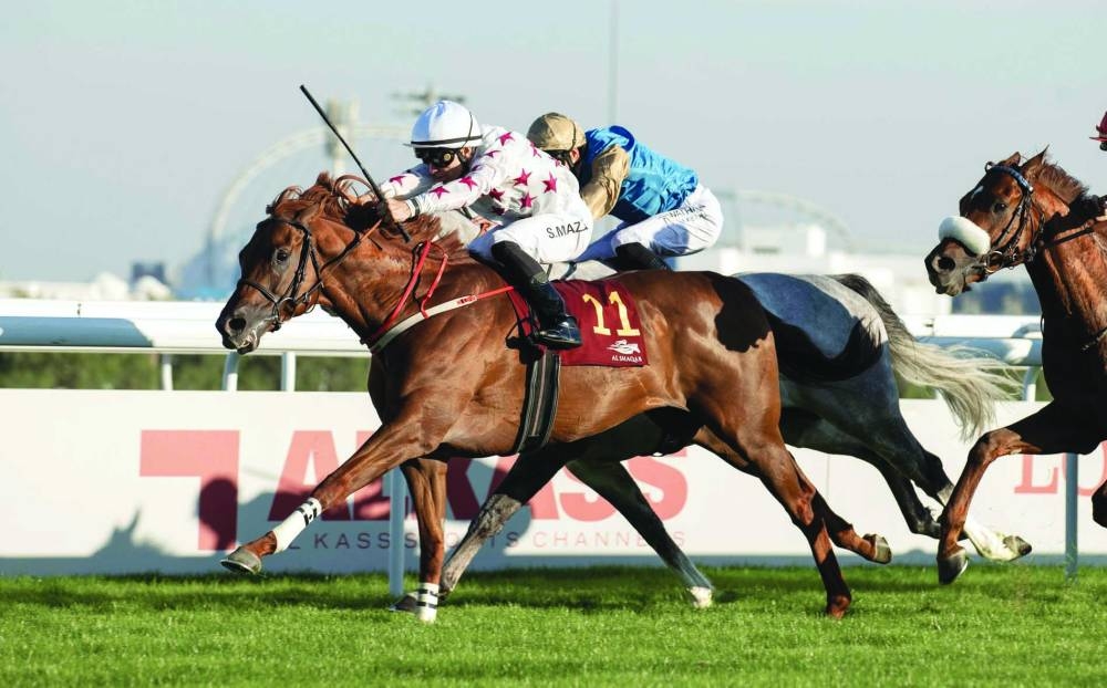 Szczepan Mazur pilots Aafoor to HE Sheikh Joaan Bin Hamad Al Thani Rifle victory at the Al Rayyan Racecourse on Saturday.