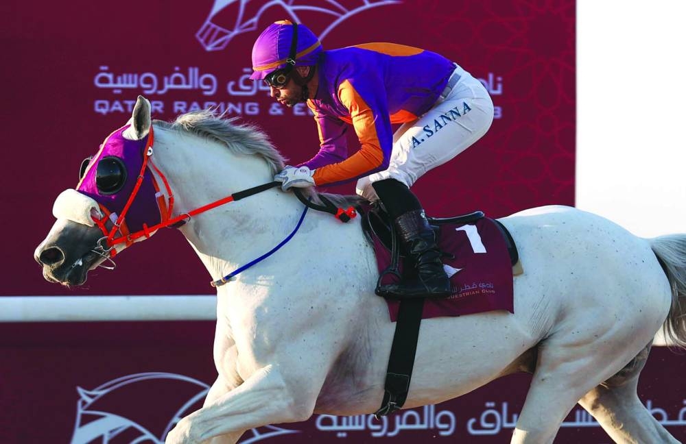 Alberto Sanna pilots Suka’ar to Mesaieed Cup win at the Al Uqda Racecourse on Wednesday. PICTURE: Juhaim