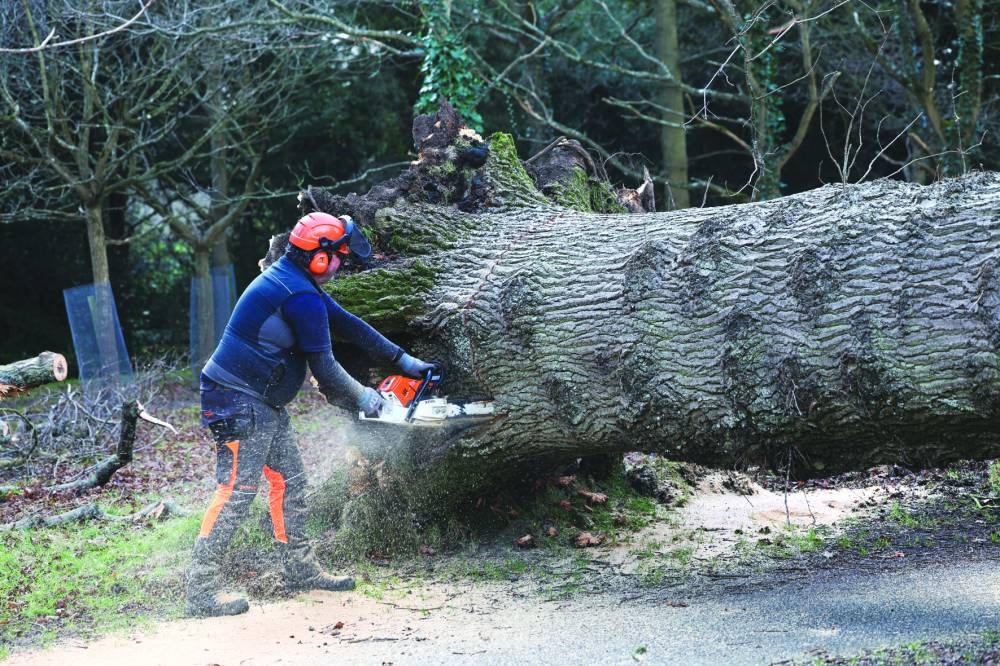 A worker cuts a fallen tree in Phoenix Park, Dublin.