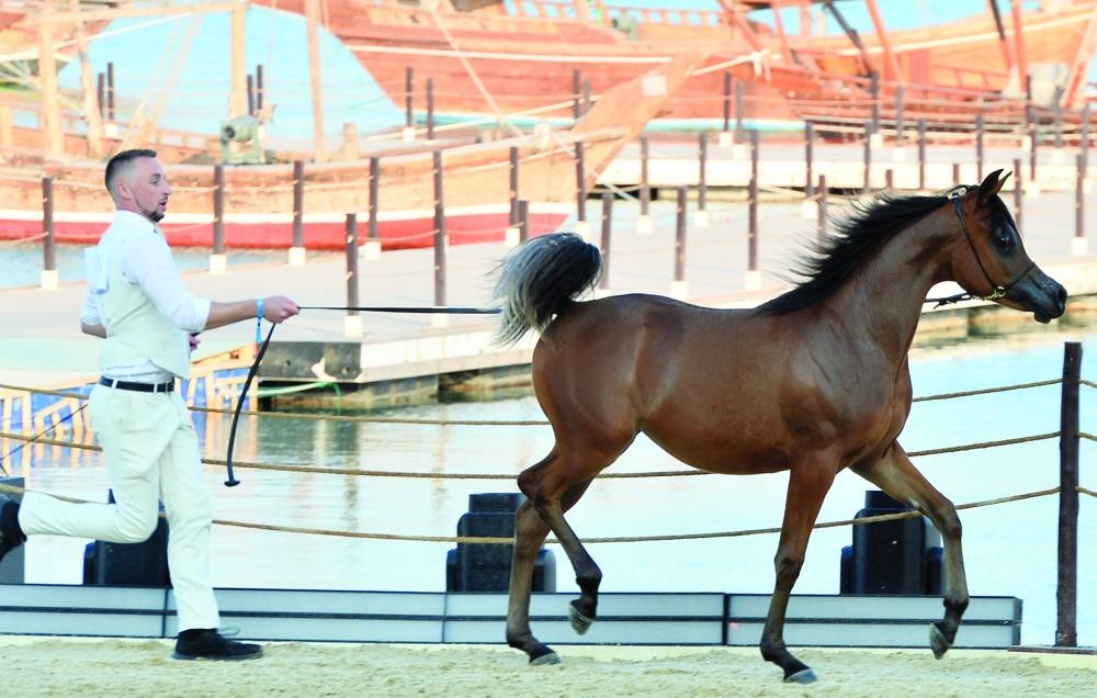 First place winner in action