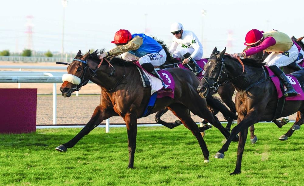 
Soufiane Saadi guides Doha Bu Thaila to the Al Waab Cup victory. PICTURES: Juhaim 