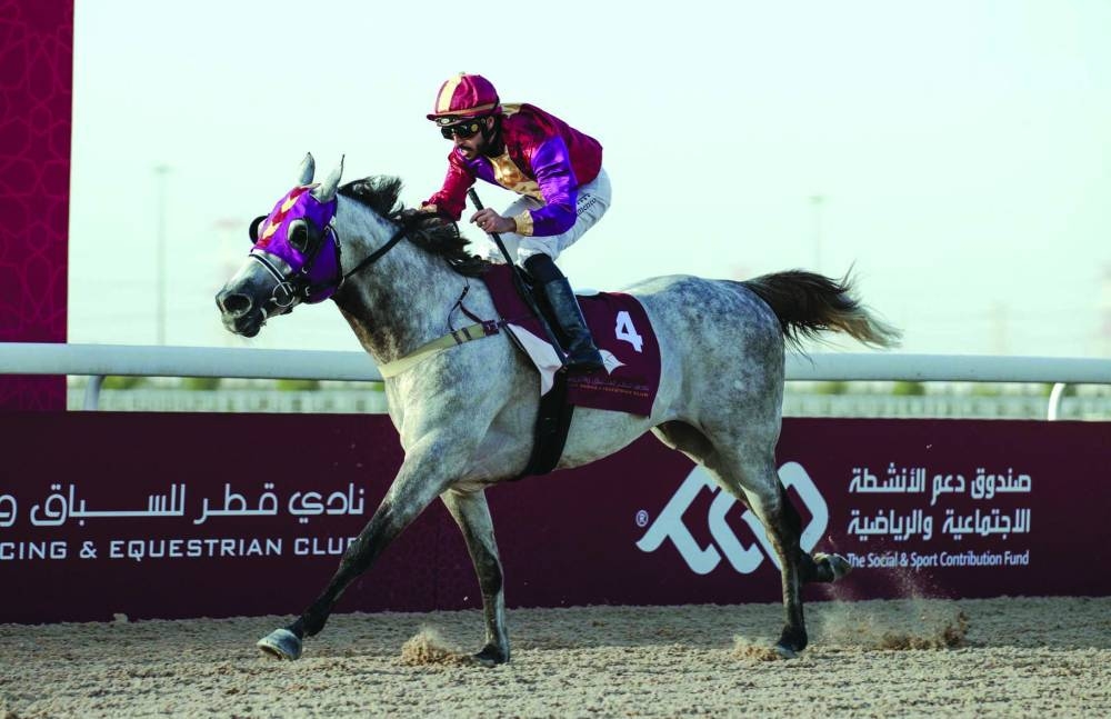 Jockey Marco Casamento guided Eifrit to victory on Saturday. PICTURE: Juhaim