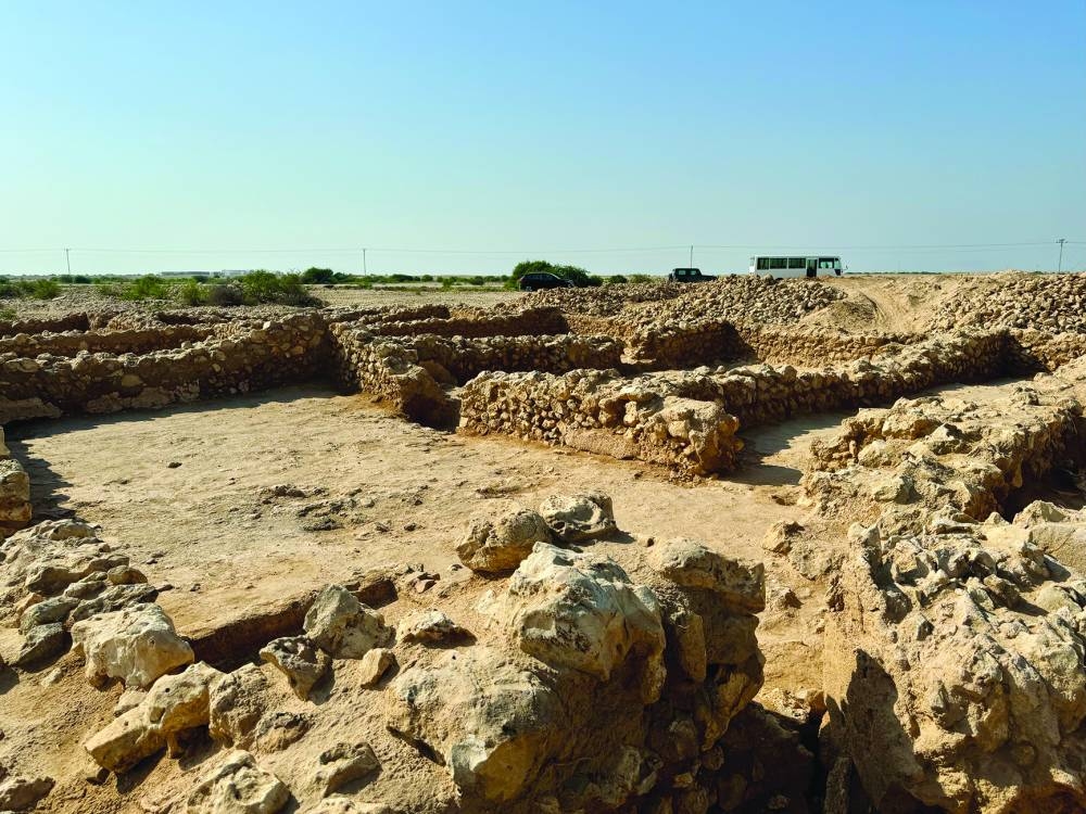 A view of the Ain Mohammed archaeological excavation site.