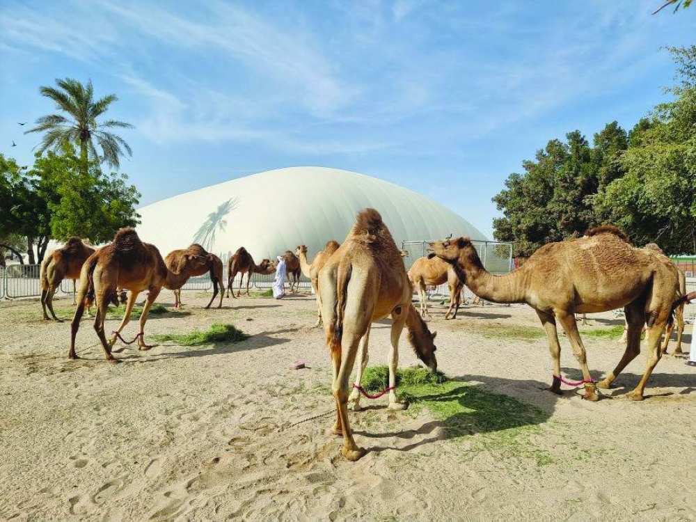 PICTURE: Joey Aguilar