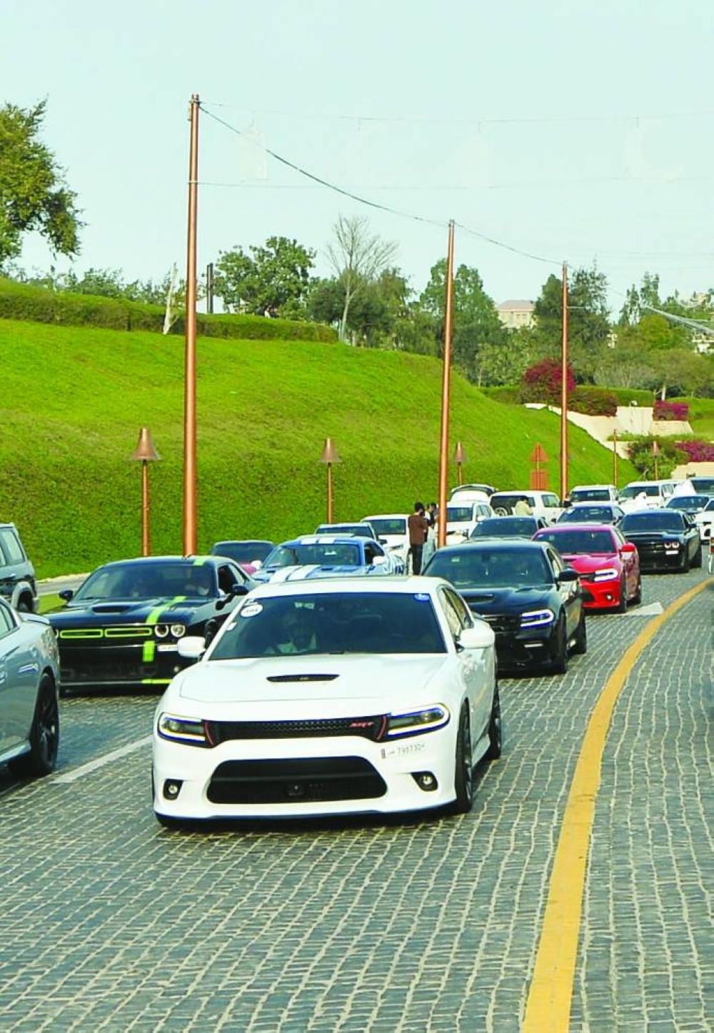  PICTURE: Shaji Kayamkulam