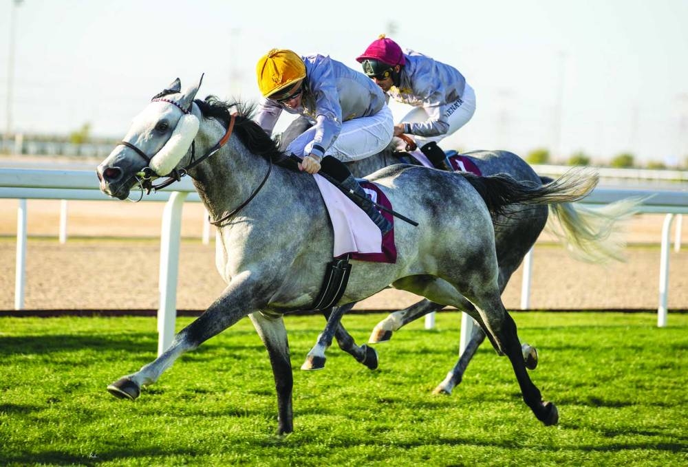 Connections of Al Zwair celebrate after the grey horse won the Msheireb Cup on Thursday. PICTURE: Juhaim