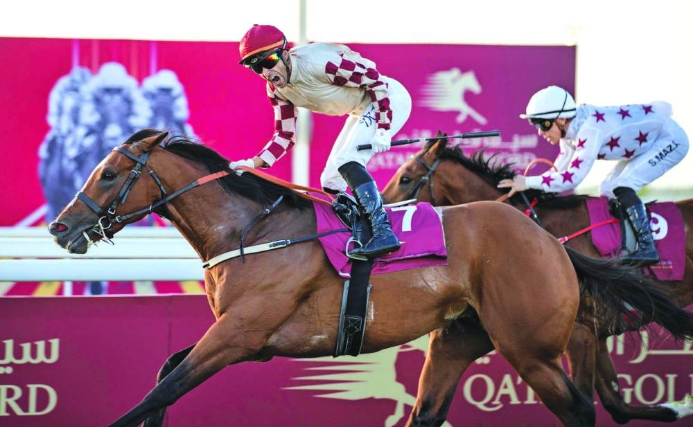 
Alberto Sanna celebrates after leading Phoebus to victory in Al Wajba Trophy on day one of the Qatar Gold Sword and Trophy (Div. 1 – Turf) at the Al Uqda Racecourse. PICTURE: Juhaim 