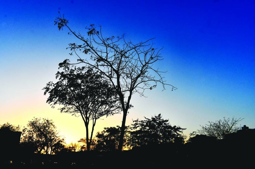 Beautiful silhouettes of trees during sunset at Rawdat Al Khail Park. PICTURE: Thajudheen.