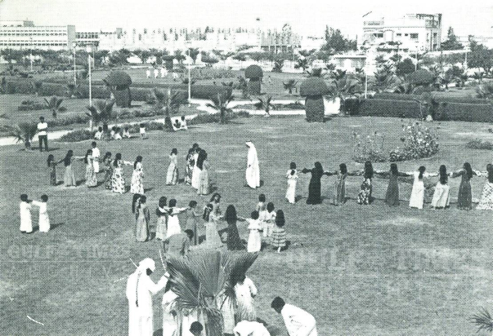 This photograph from 1970 shows the newly-planted avenue of Washingtonia Filifera palms.