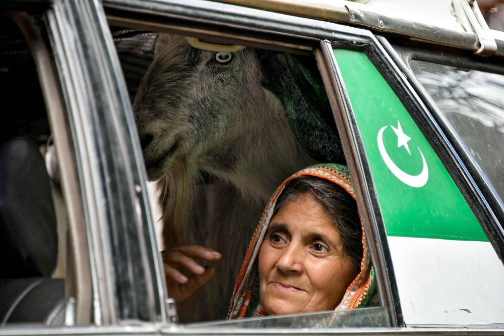 A resident rides a car with a goat as she returned to her hometown after Pakistan-India ceasefire at the frontier village of Chakothi near the Line of Control (LoC), in Pakistan-administered Kashmir, on Sunday. AFP