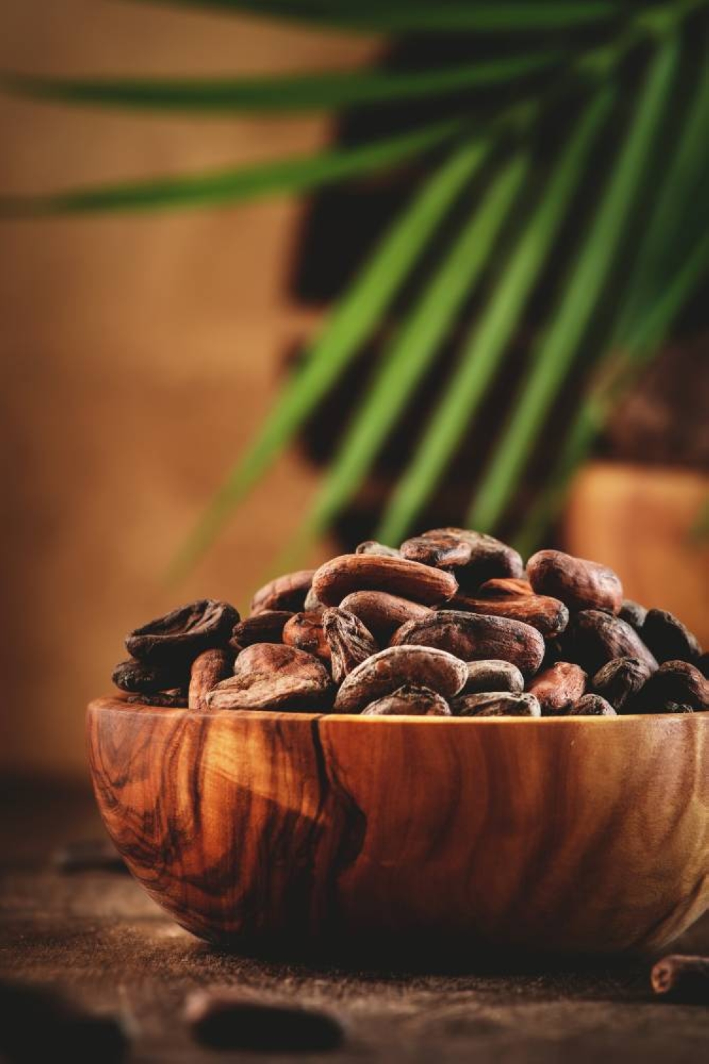 Unpeeled organic cocoa bean in bowl on wooden rustic table background. Copy space