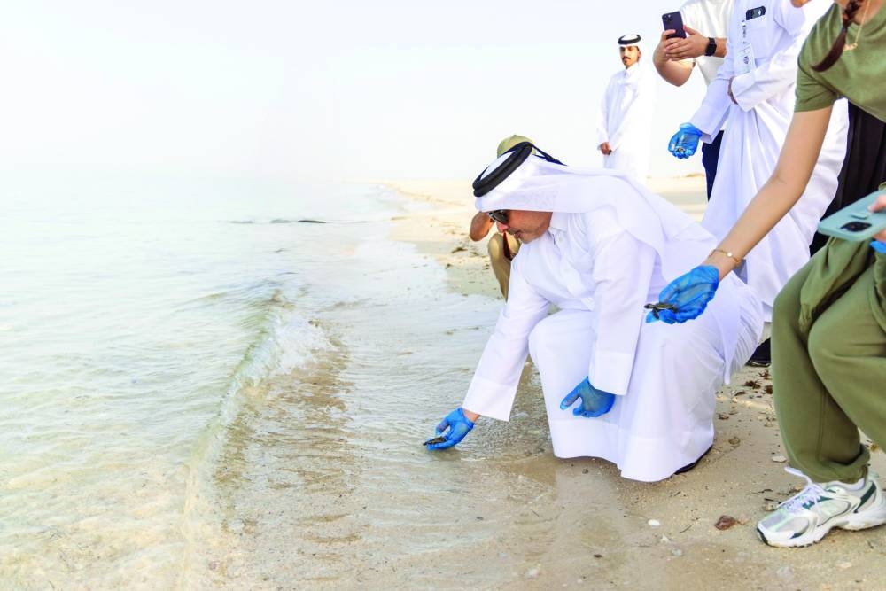 HE the Minister of Environment and Climate Change Dr Abdullah bin Abdulaziz bin Turki al-Subaie participates in the release of baby hawksbill turtles at Fuwairit Beach.