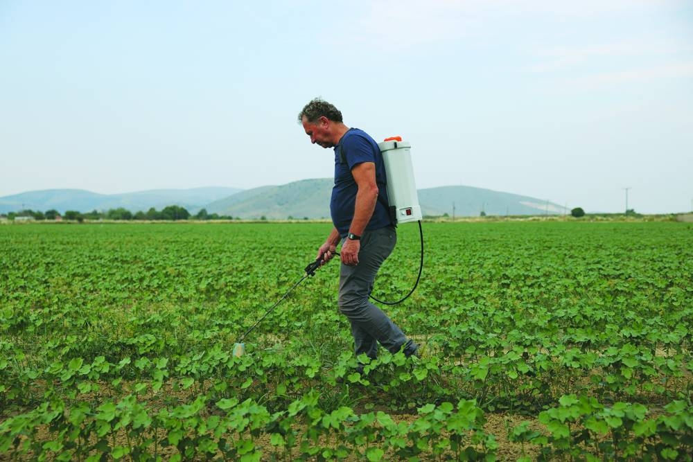 
Thanasis Kostis, 62, a local cotton farmer, sprays a cotton field with pesticides, in the village of Metamorfosi, in Thessaly region, Greece. 