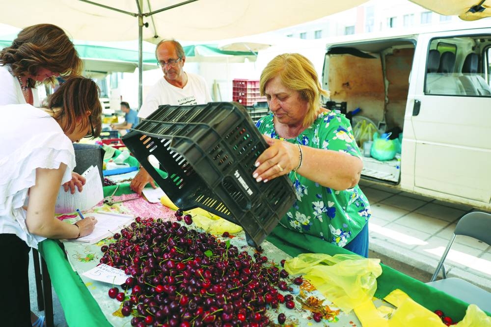 
Evangelia Tinana, farmer, empties a crate of cherries during a product inspection by agronomists from the Larissa’s Directorate of Regional Agricultural Economy at the local farmers’ market in the city of Larissa in Thessaly region, Greece. 