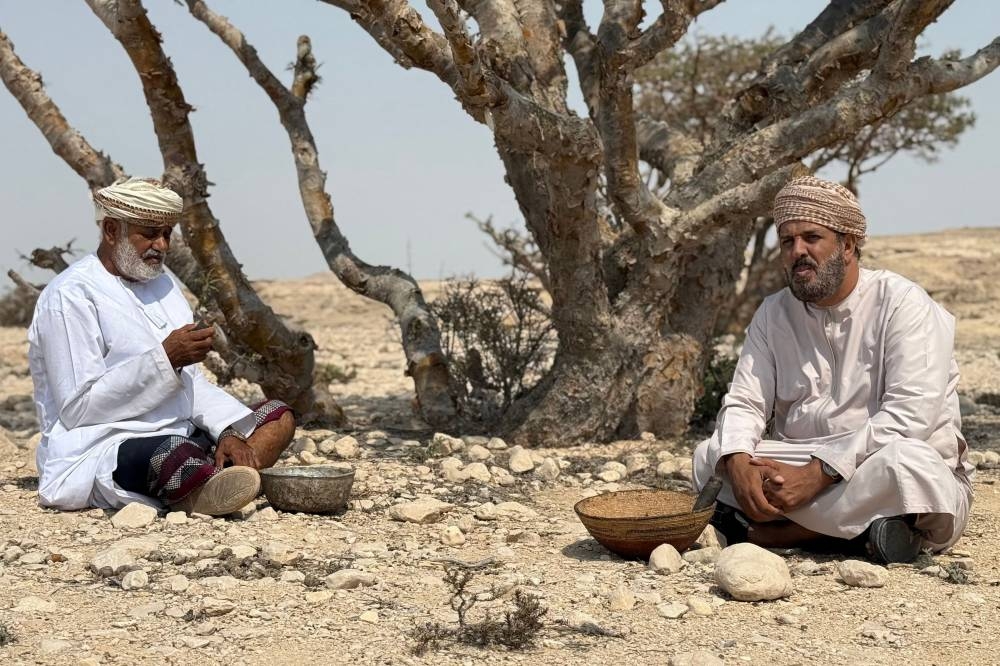 Harvesters rest in front of a Boswellia tree, after extracting frankincense resin from it, in the Dawkah valley in Oman's southern Dhofar region.