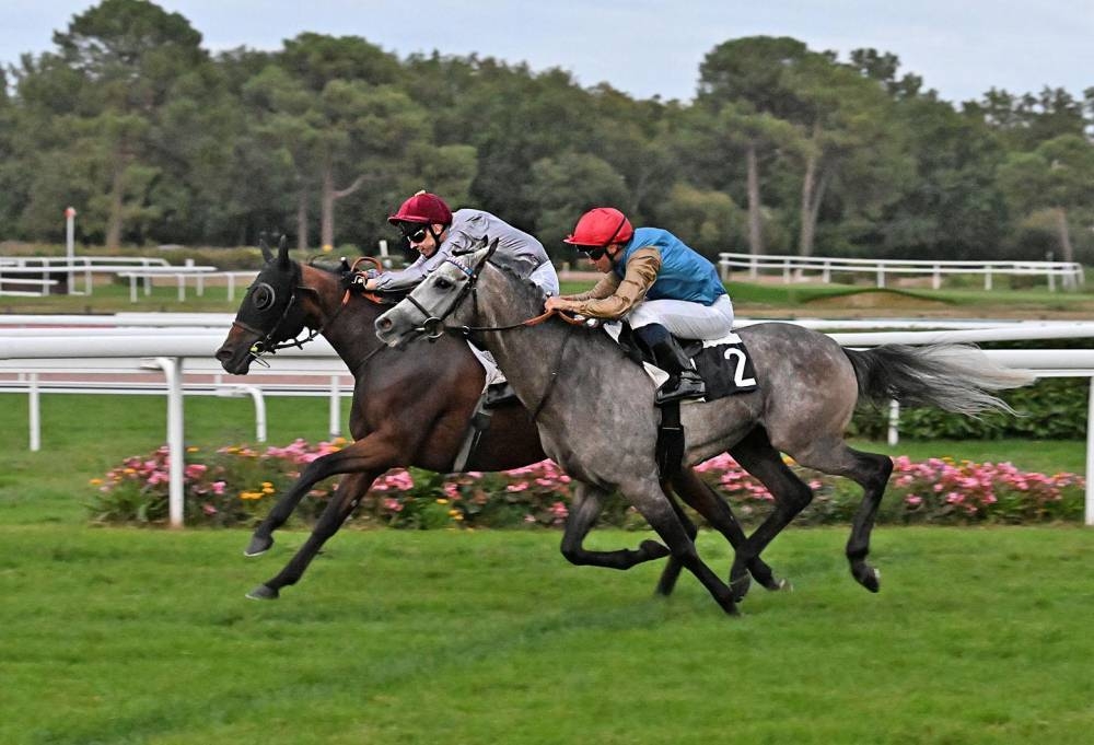 PICTURES: Robert Polin