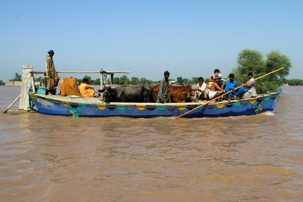 Residents travel with their cattle in a boat, as they evacuate flooded area, following monsoon rains and rising water levels of the Chenab River, in Seetpur, Punjab province, Pakistan, 2025. REUTERS