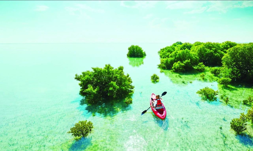 Kayaking is a popular activity at Al Thakira Mangroves.