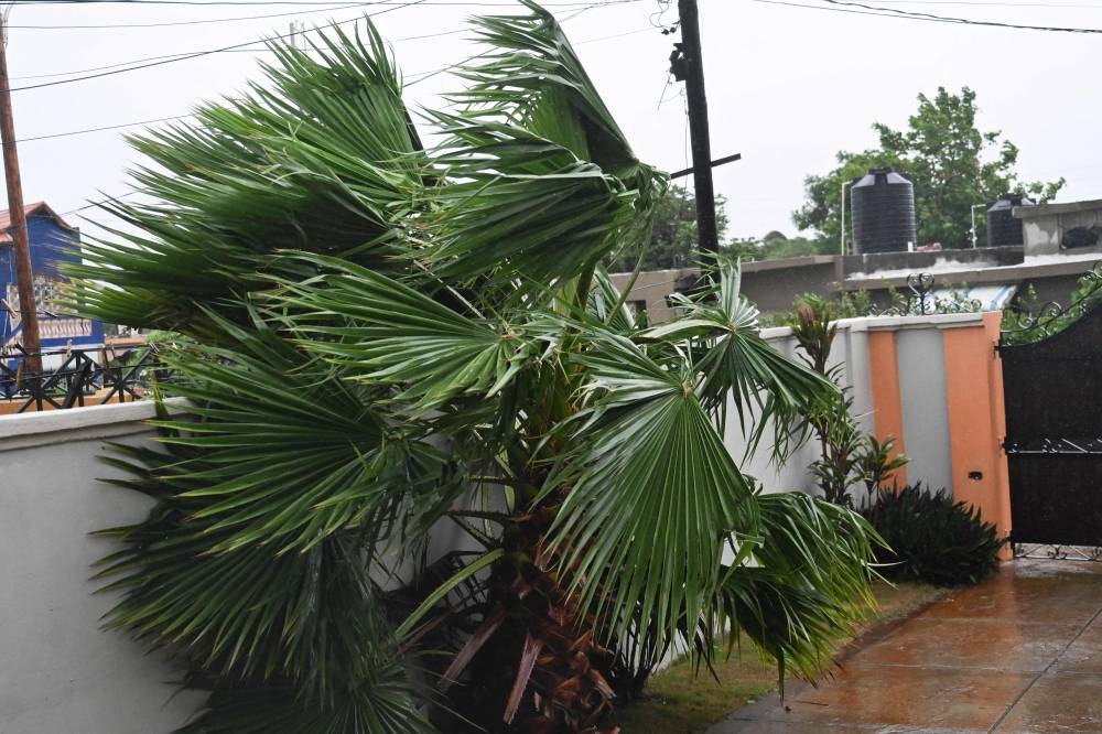 Trees sway in the wind in St Catherine, Jamaica, after Hurricane Melissa made landfall on October 28, 2025. Hurricane Melissa ripped up trees and knocked out power after making landfall in Jamaica on Tuesday as one of the most powerful hurricanes on record, inundating the island nation with rains that threaten flash floods and landslides. The destructive storm struck Jamaica with ferocious sustained winds clocking 185 miles (300 kilometers) per hour on its deadly march across the Caribbean. (AFP)