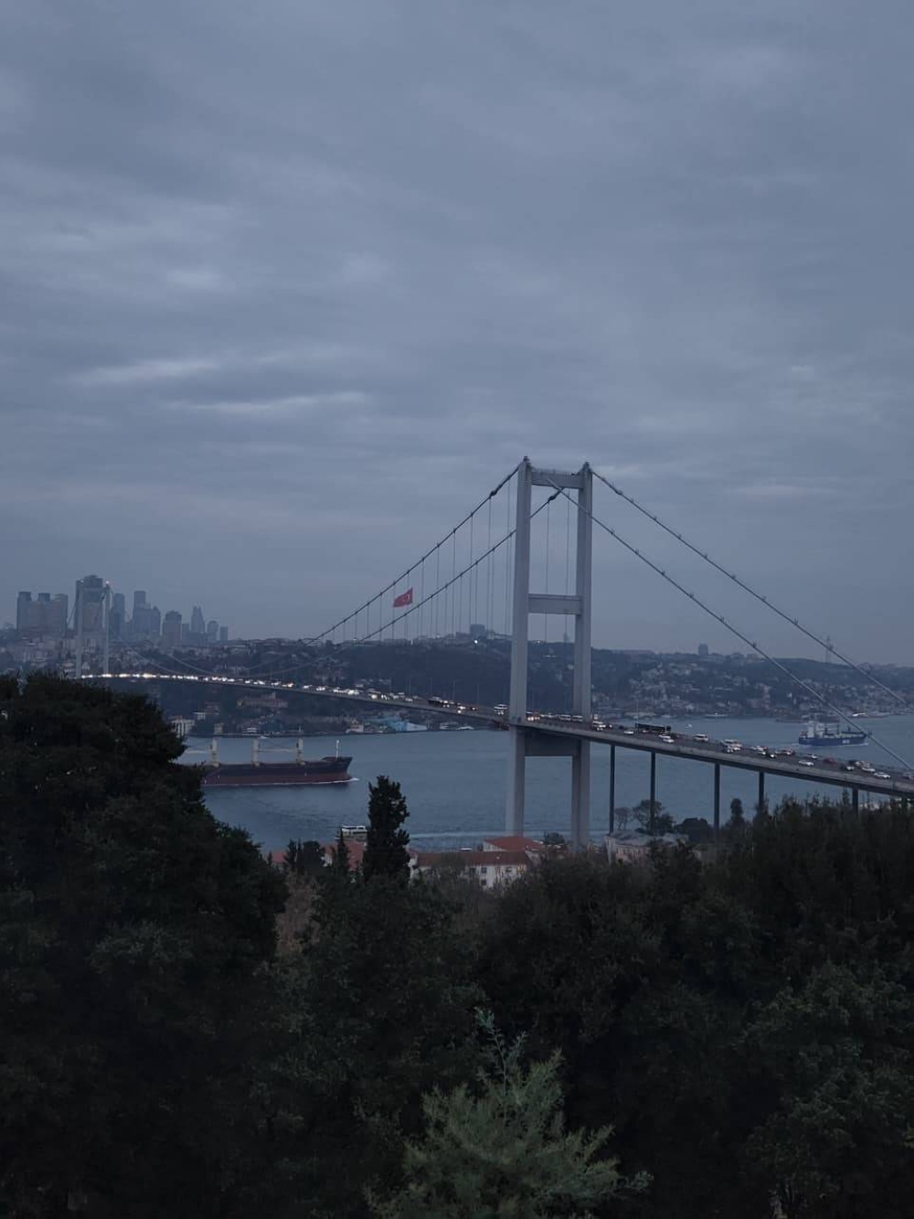 bosphorus bridge view from Nakkaştepe Park