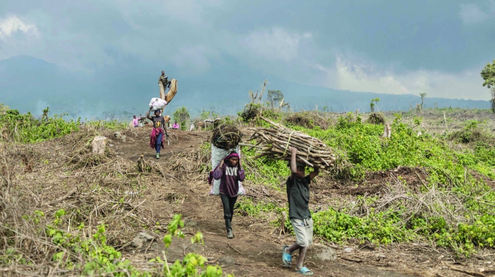 
Internally displaced people carry charcoal from the forest at the foot of Nyiragongo volcano in Virunga National Park to the market in Kibati, Democratic Republic of the Congo, on January 13, 2023. (AFP/Filephoto) 